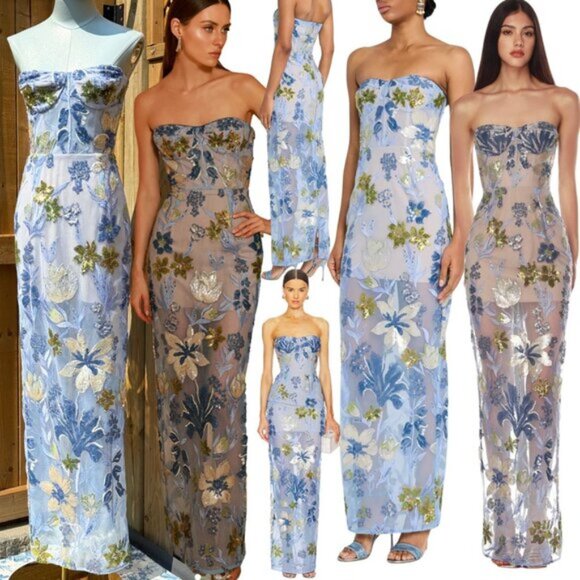 Bronx and Banco Dresses & Skirts - 🆕 BRONX & BANCO 🧿 NWOT Dahlia Floral Gown, Baby Blue Multi Maxi - Sz XS US 2